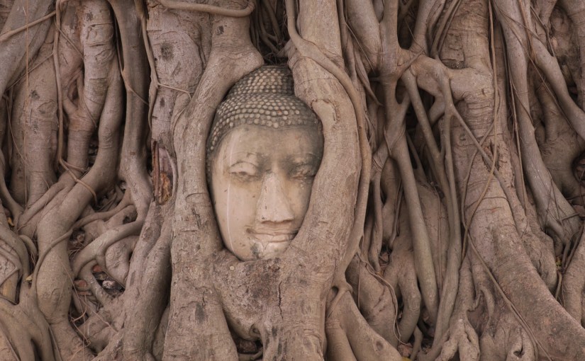 Tempel-Hopping in Ayutthaya 