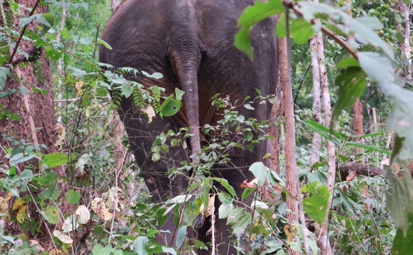Outdoor-City Chiang Mai