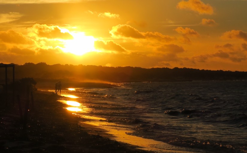 Stürmische Zeiten in Monkey&nbsp;Mia