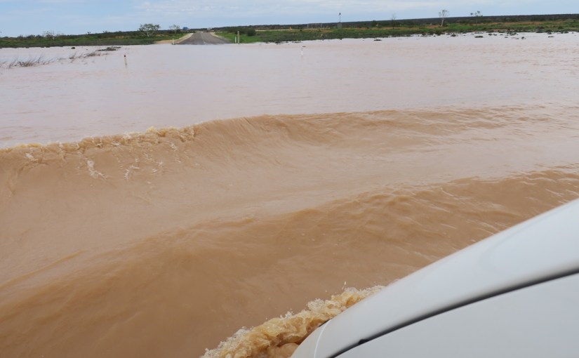 Der lange Weg in den&nbsp;Süden