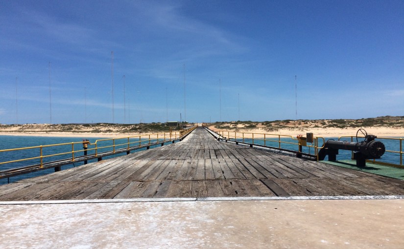 Wie Fische im&nbsp;Wasser