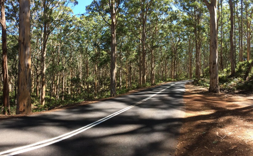 Unterwegs im Südwesten