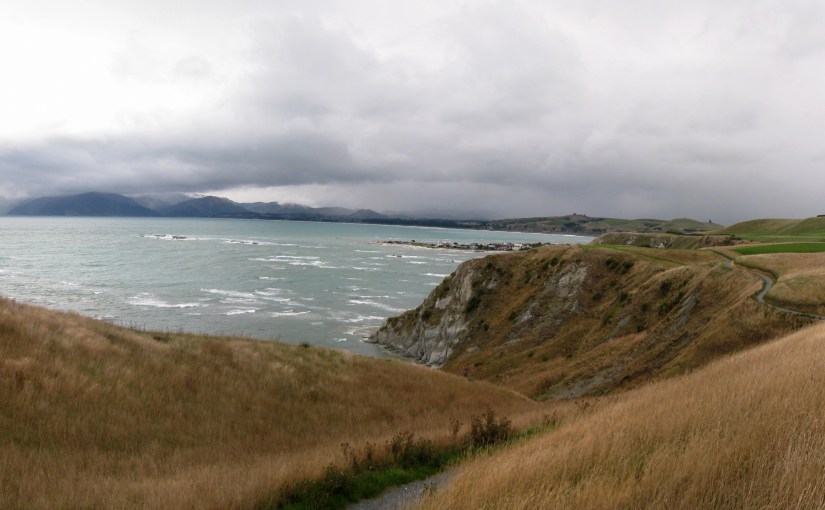 Die Stadt der&nbsp;Delphine