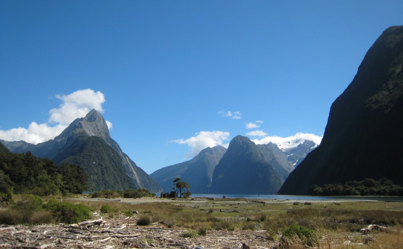 Einmal Milford und&nbsp;zurück