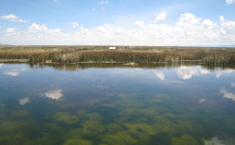 Schwimmende Inseln im Titikaka&nbsp;See