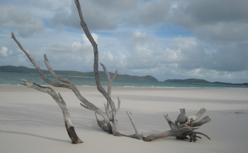 Segelturn um die&nbsp;Whitsundays